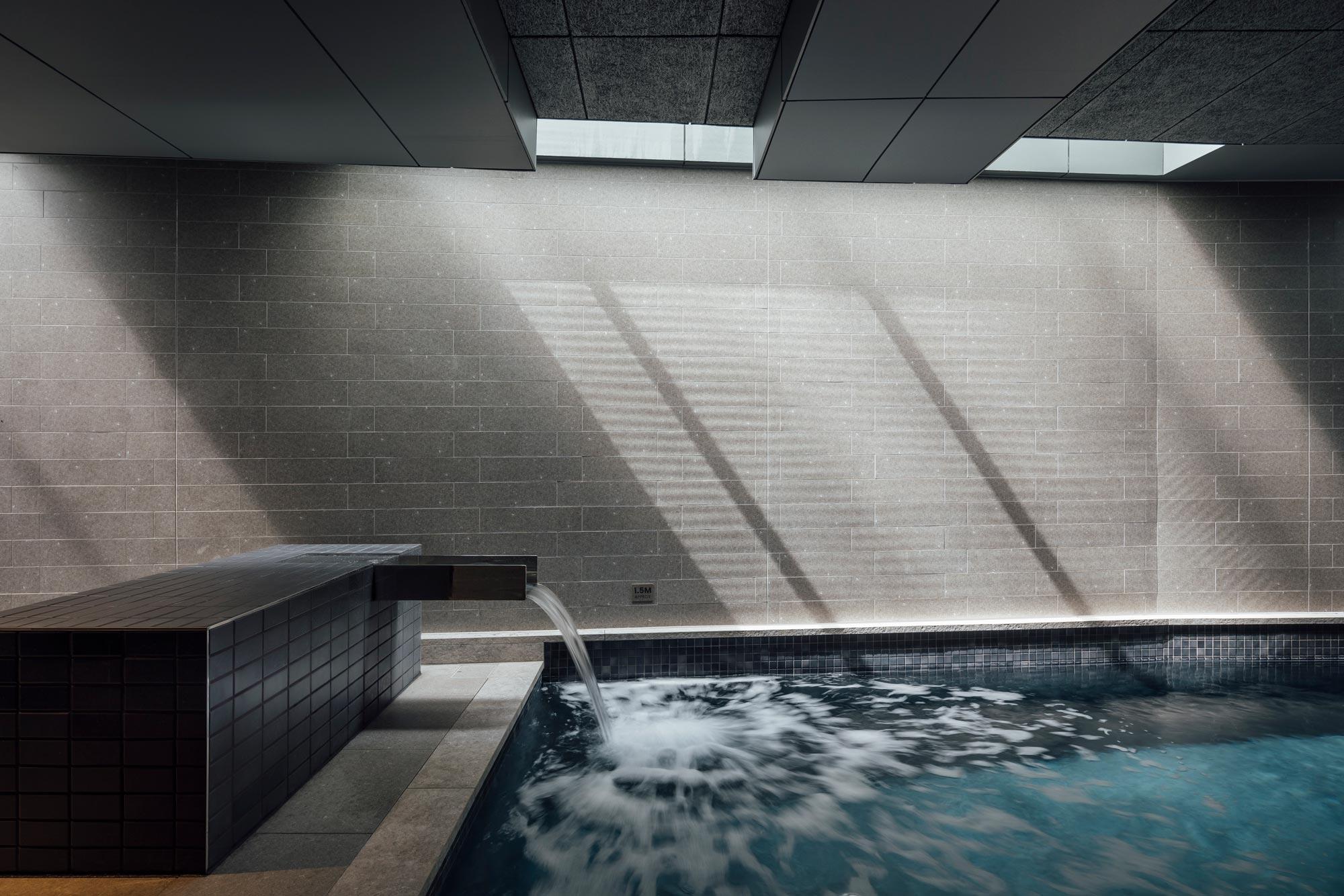 Aloha Pools Greystar Indoor
